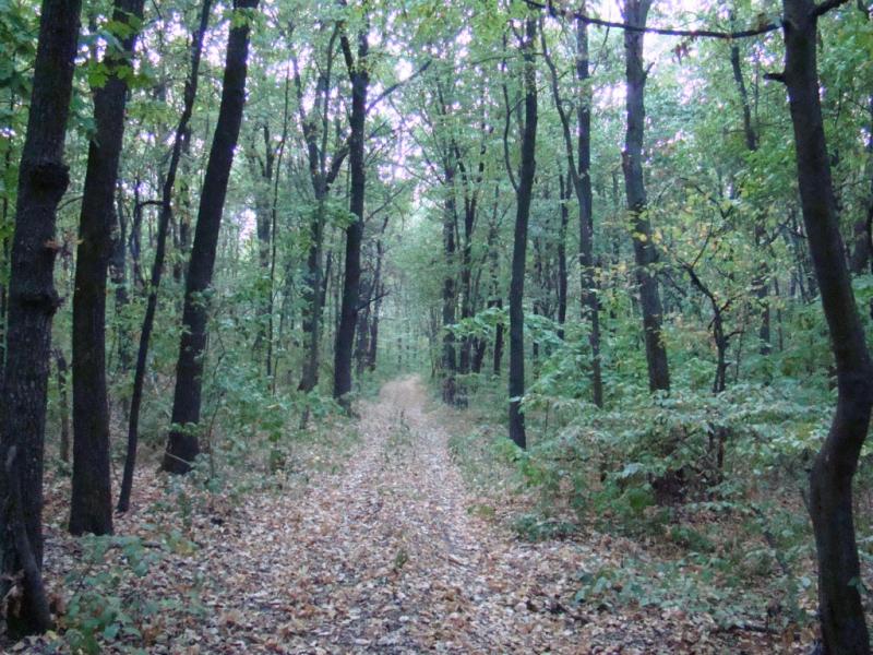 Наше село - Giltsi