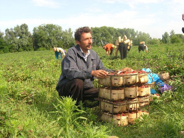 село - Іванівка