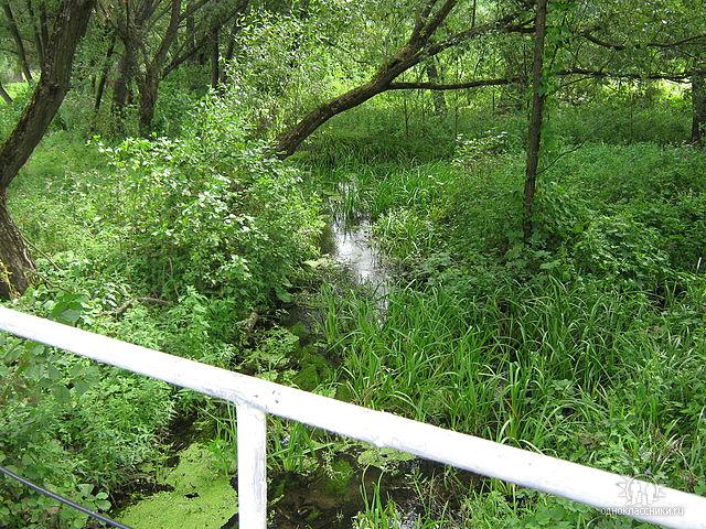 р. Ревна - Орликівка