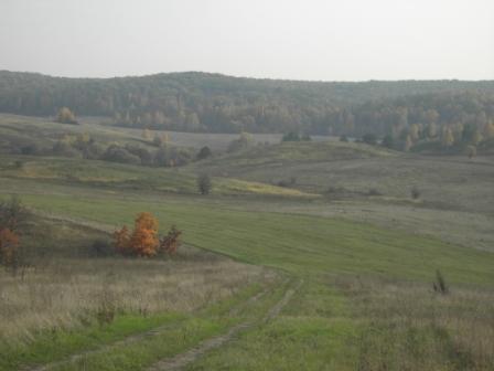 Рідне село - Великий Вистороп