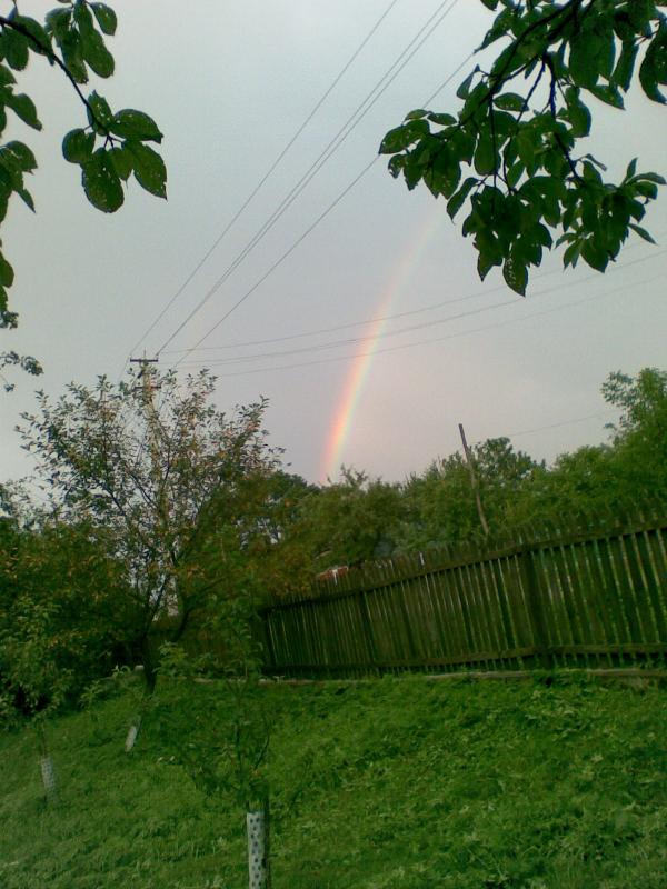 максимовичі - Максимовичі