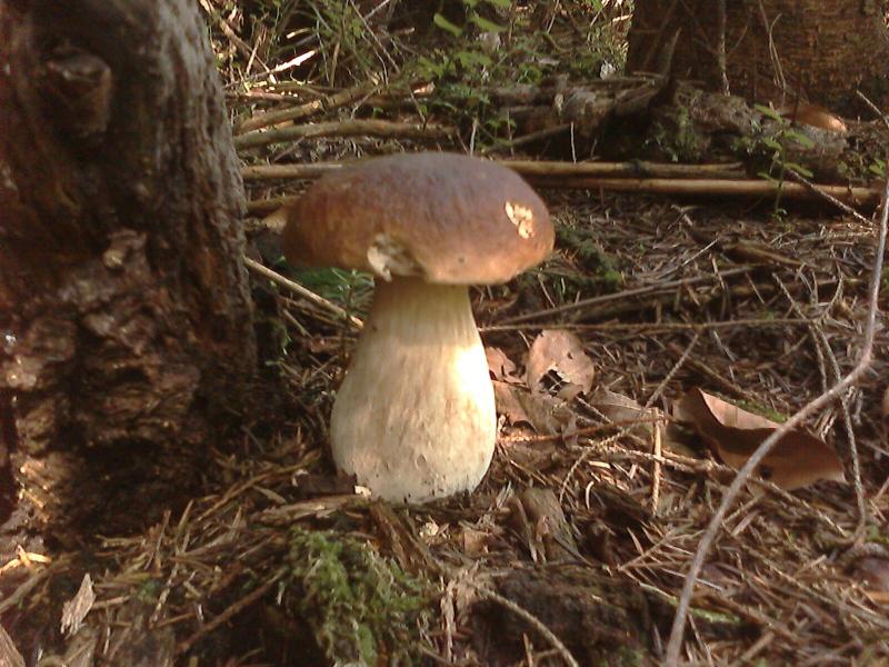 Чудові краєвиди Козаківки - Козаківка