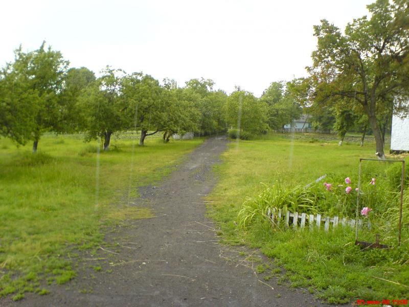 Школа - Хоньківці