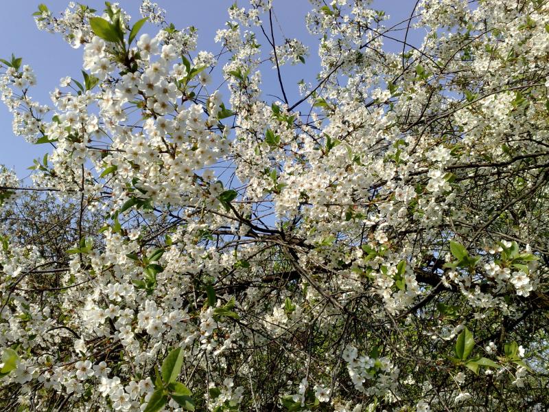 Чудовий край Марківка - Марківка