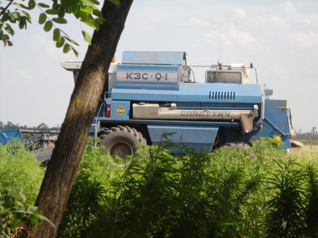 Моє село - Мала Лепетиха