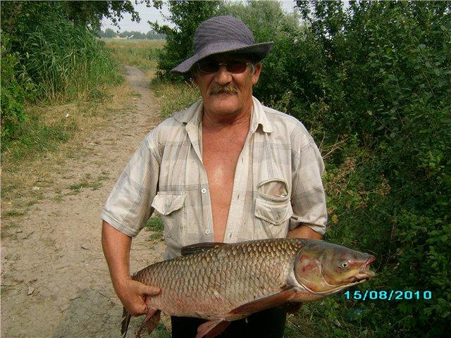 Наш город - Верхівцеве