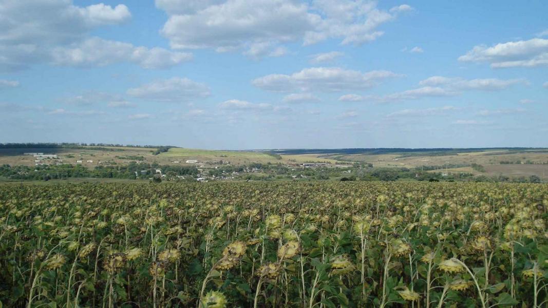 Виды на село - Верхня Дуванка