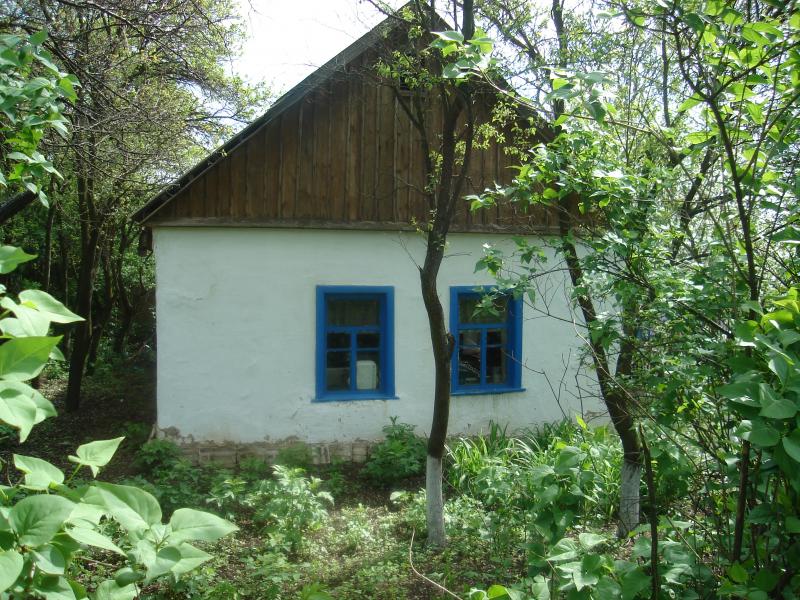 Батьківщина мого батька. - Володимиро-Іллінка