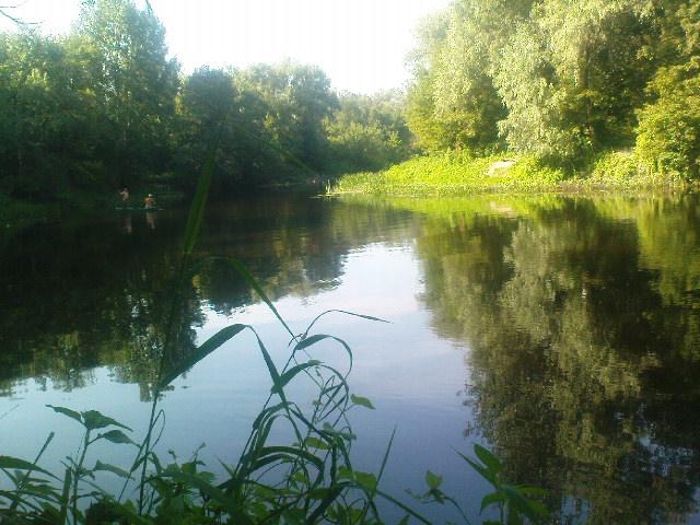 СОЛОНИЦЯ - Солониця