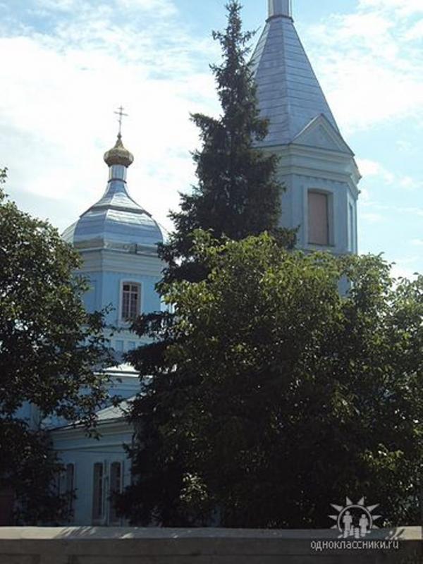 Родина - Шершенцы