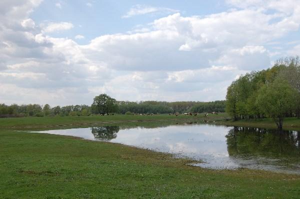 село - Іванівка
