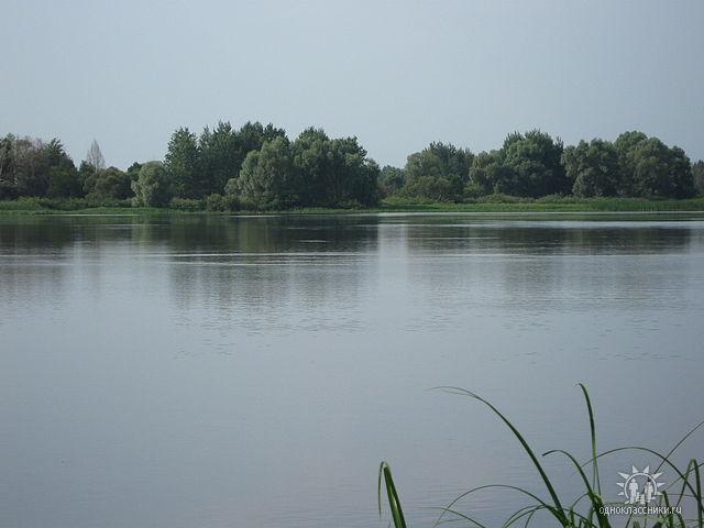 р. Ревна - Орликівка