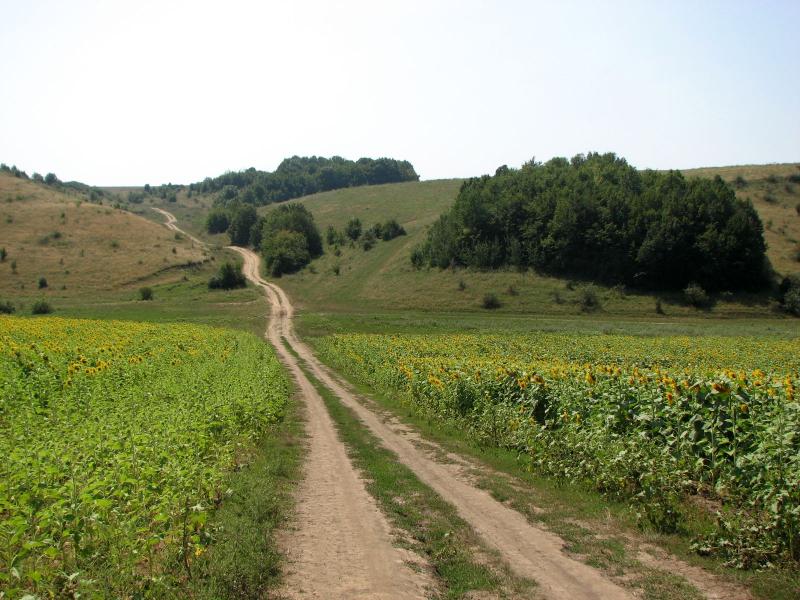 Пиріжна - Пиріжна
