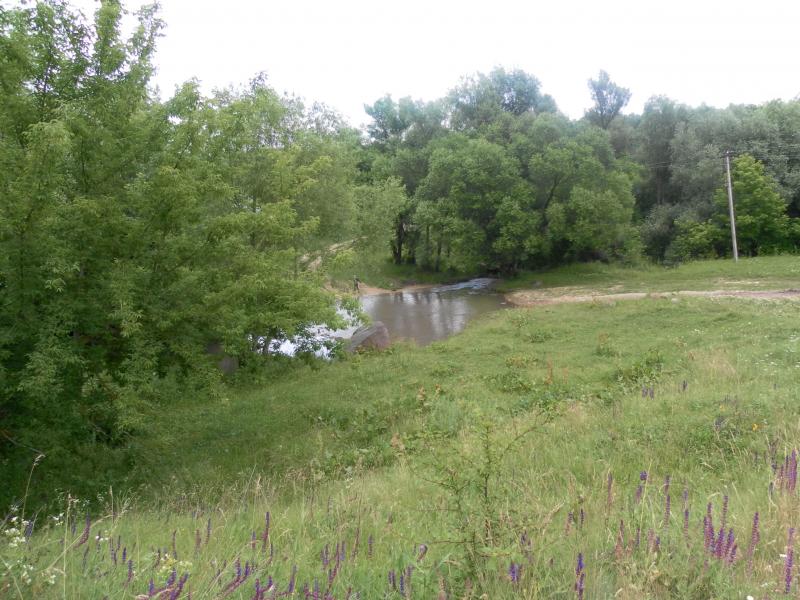 Качківка-подоляночка - Качківка