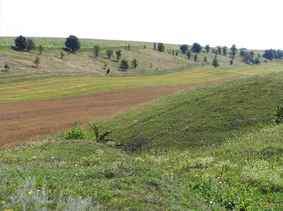 Потиевка - Потіївка