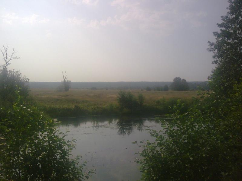 р. Ревна - Орликівка