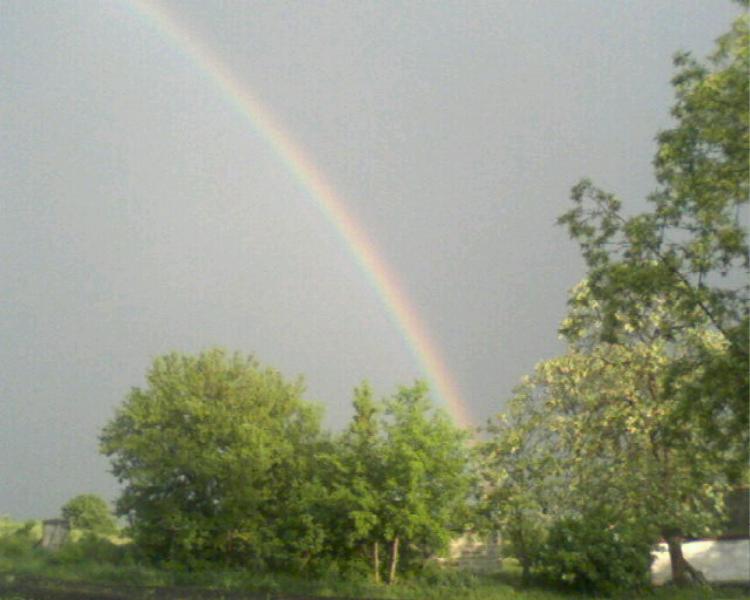 Природа - Попельнастое