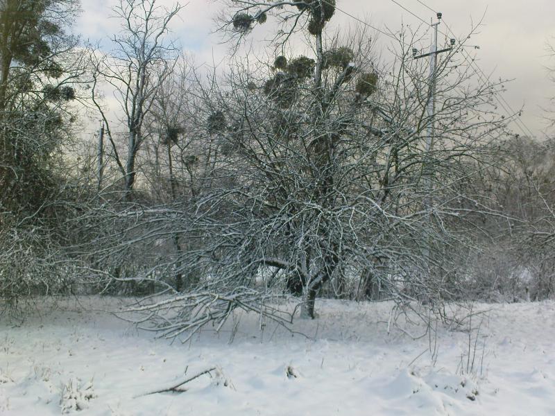 Моя мала Батьківщина с.Таганча - Таганча