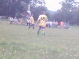 Спорт - Кобиловолоки