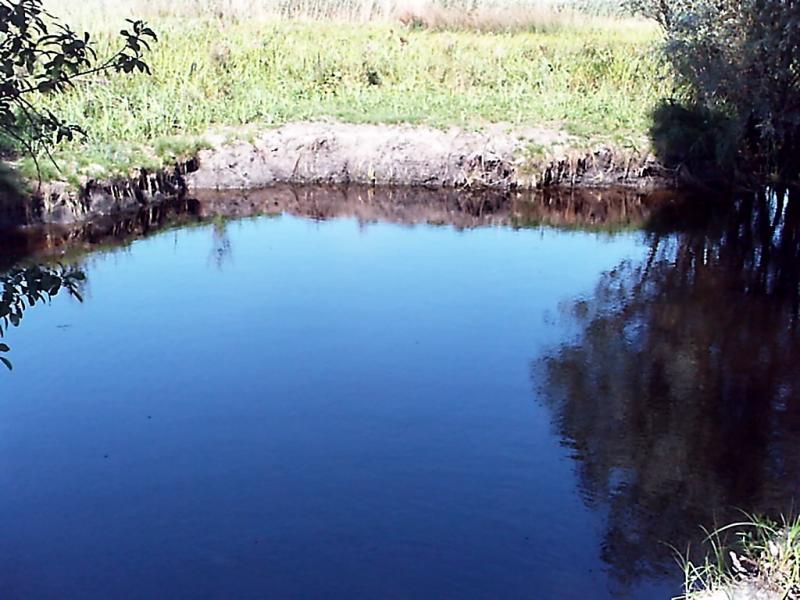 Лікареве - Лекарево