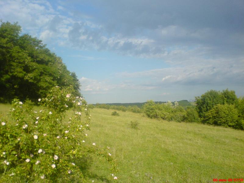 Мій край - Khonkivtsi