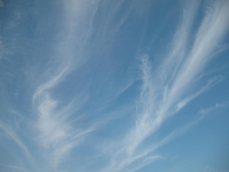 Пречистівка - Пречистівка