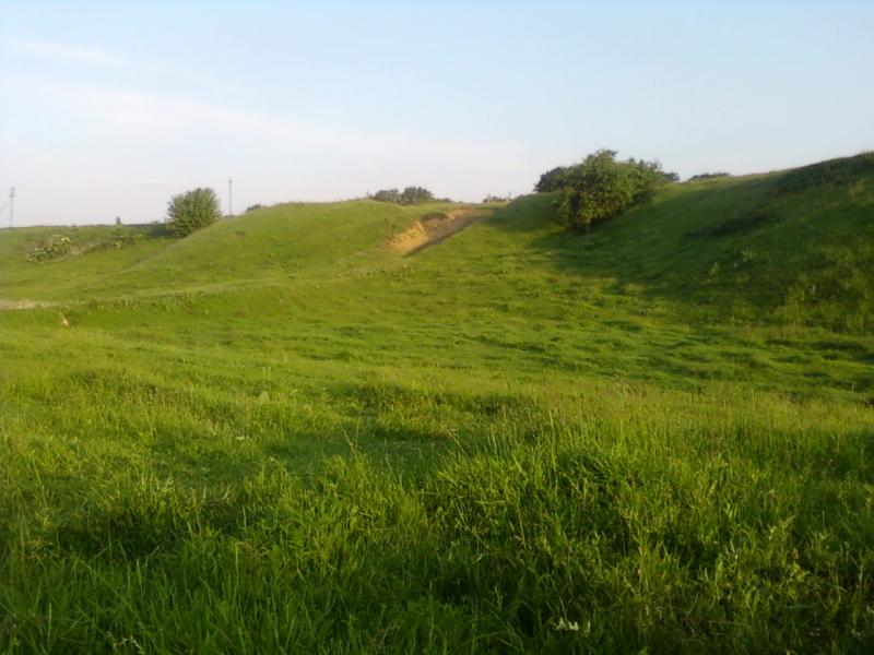 Природа - Редкодуб