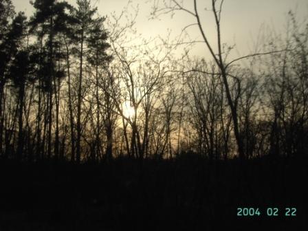 Рідне село - Великий Вистороп