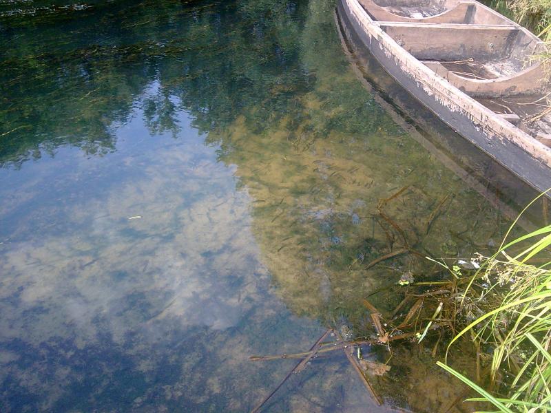 р. Ревна - Орликівка