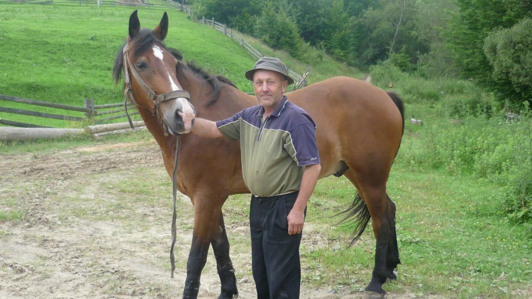 Лiто 2010 - Тисовиця