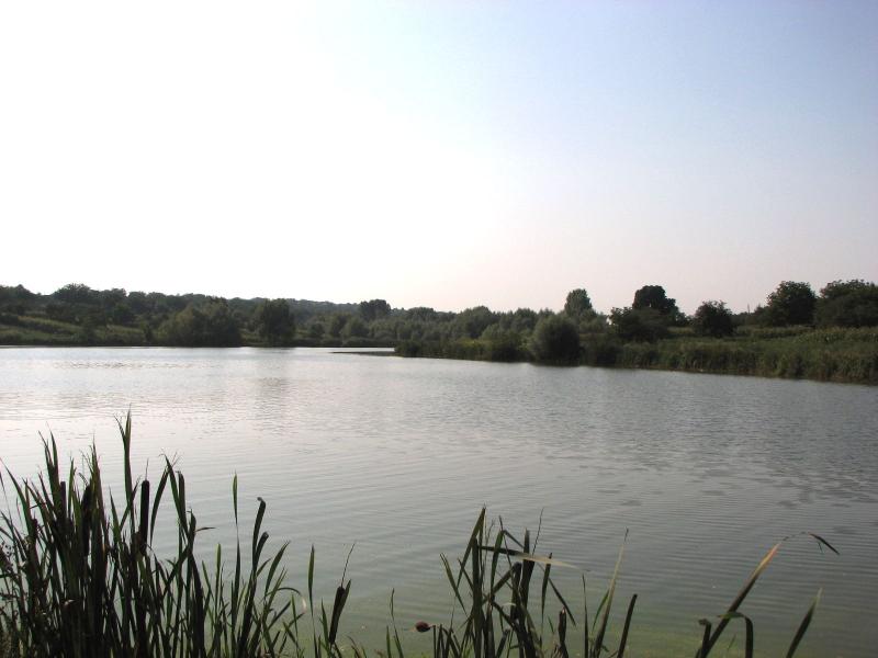 Пиріжна - Пиріжна