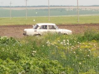 Андрій в машині - Доброгорща