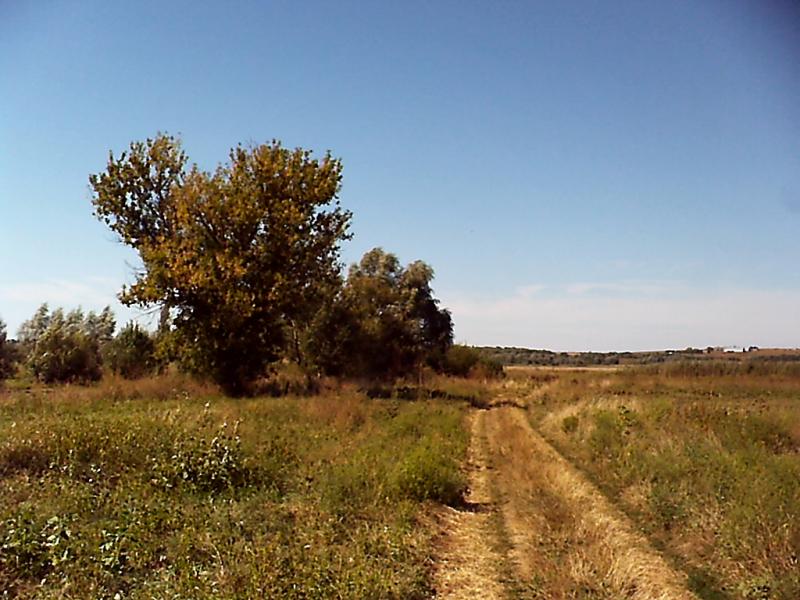 Лікареве - Лекарево