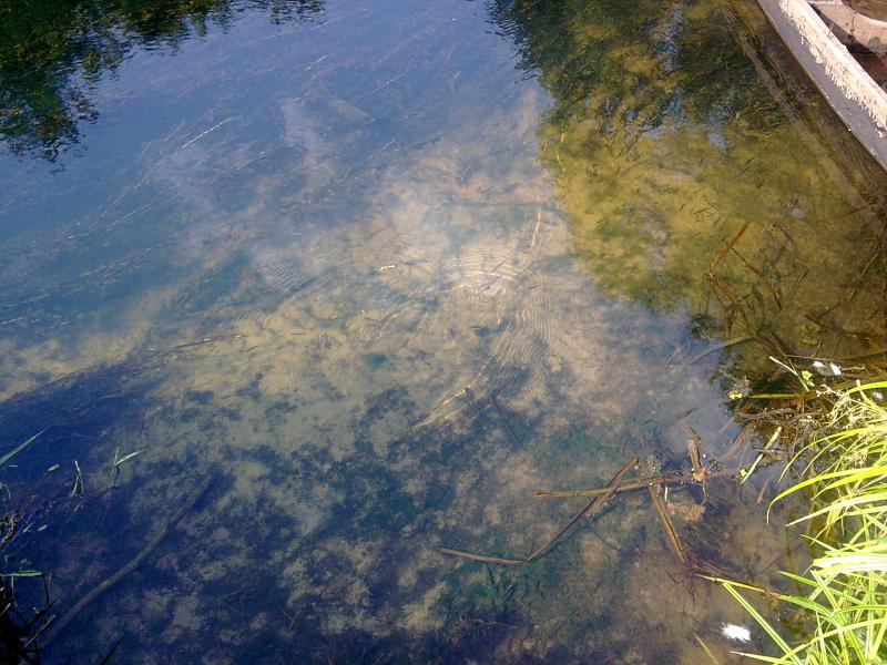 р. Ревна - Орликівка