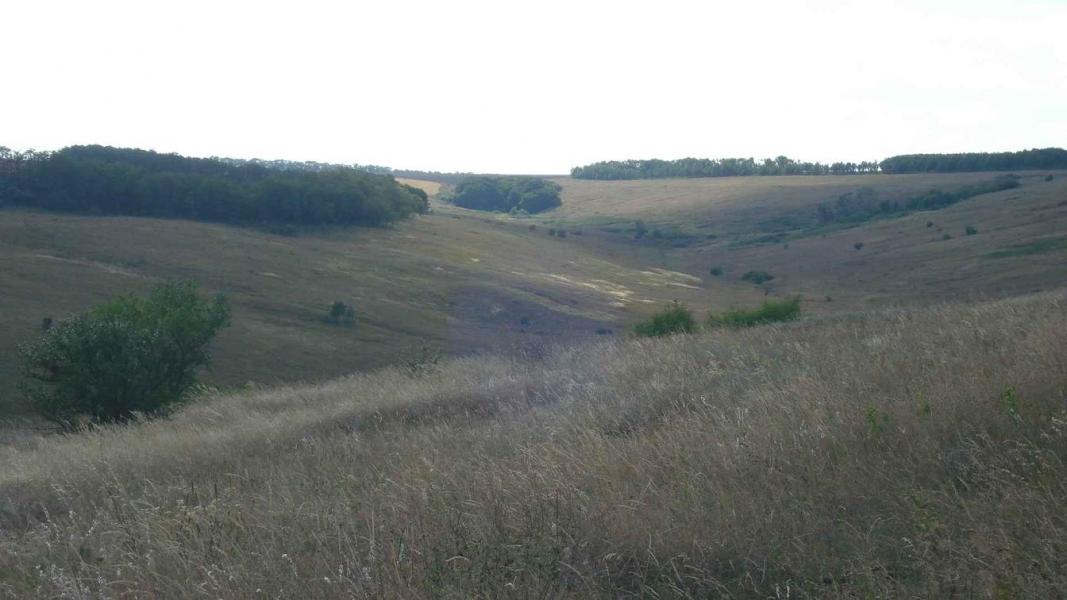 Виды на село - Верхня Дуванка