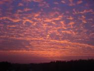 Прилісне - Останні фото