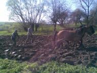 Сільське життя