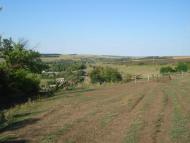 Моя Араповка