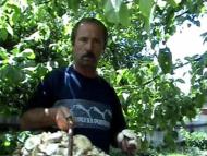 жителі села