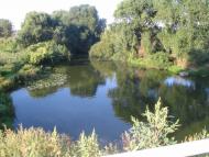 Великополовецьке