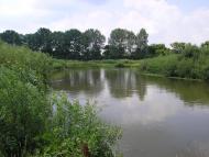 'Бережіть ліс- він Вам ще пригодиться'