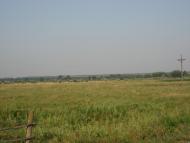 Любимые просторы