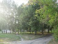 Любимые просторы