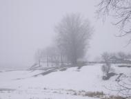 'Бережіть ліс- він Вам ще пригодиться'