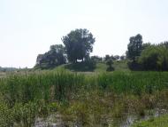 'Бережіть ліс- він Вам ще пригодиться'