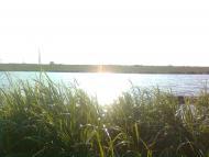 Став біля села