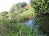 Великополовецьке