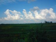 Природа села