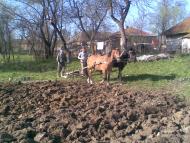 Сільське життя