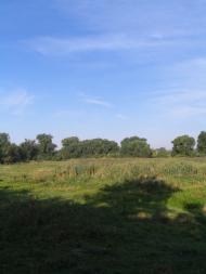 Великополовецьке